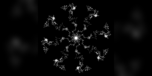 Cover image for inflorescence.city
