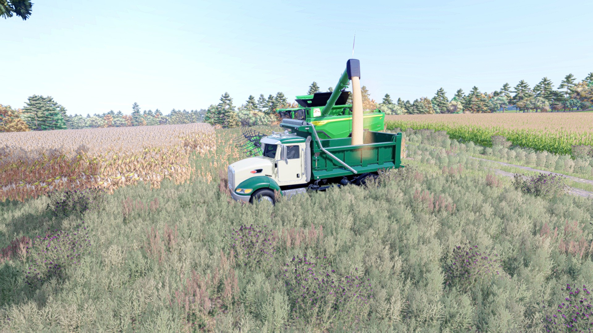 Screenshot 3 for FS25 HD Modding Peterbilt 340 Dump Truck UpDate