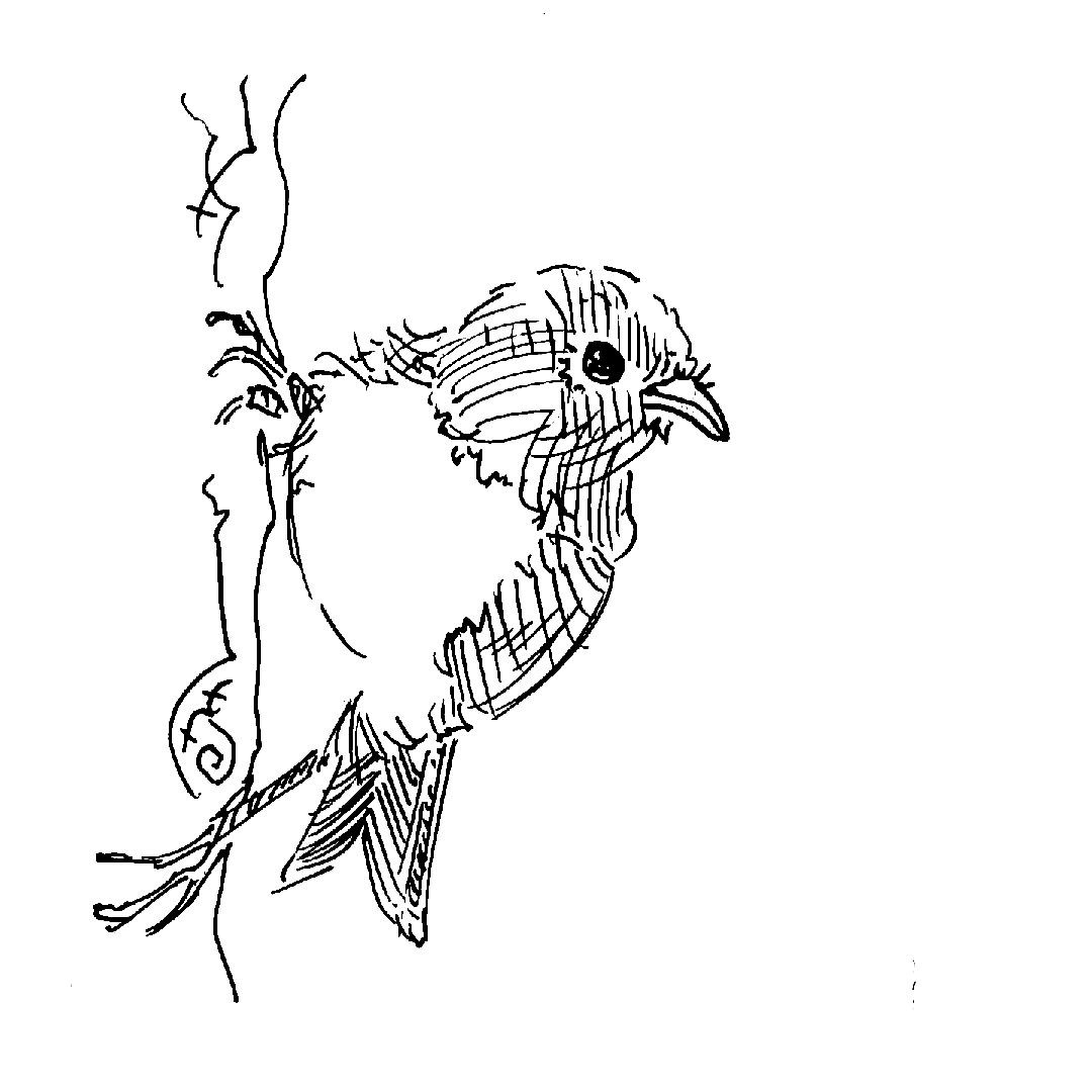 Screenshot 7 for spirit feathers | huruhuru wairua