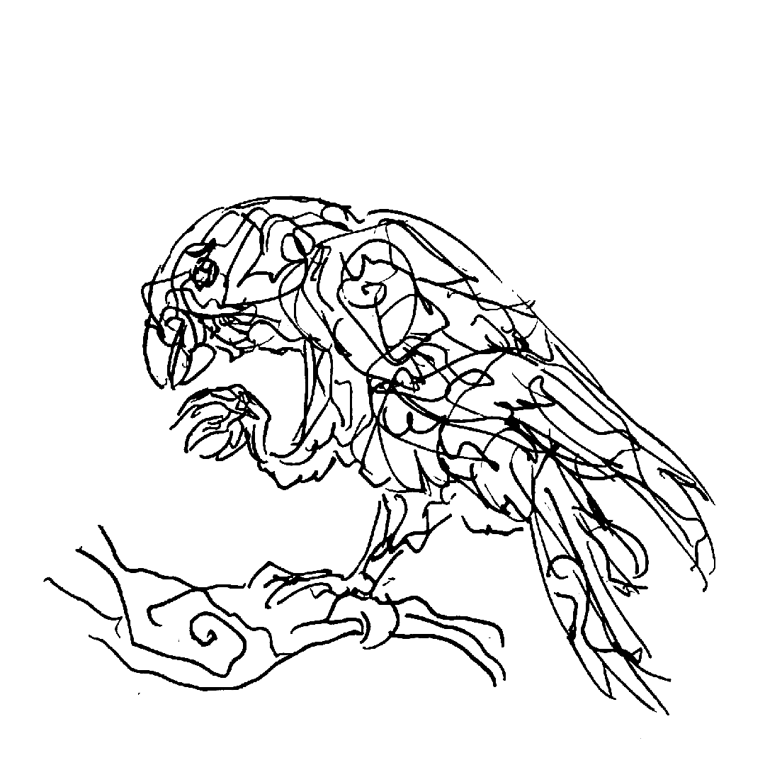 Screenshot 4 for spirit feathers | huruhuru wairua
