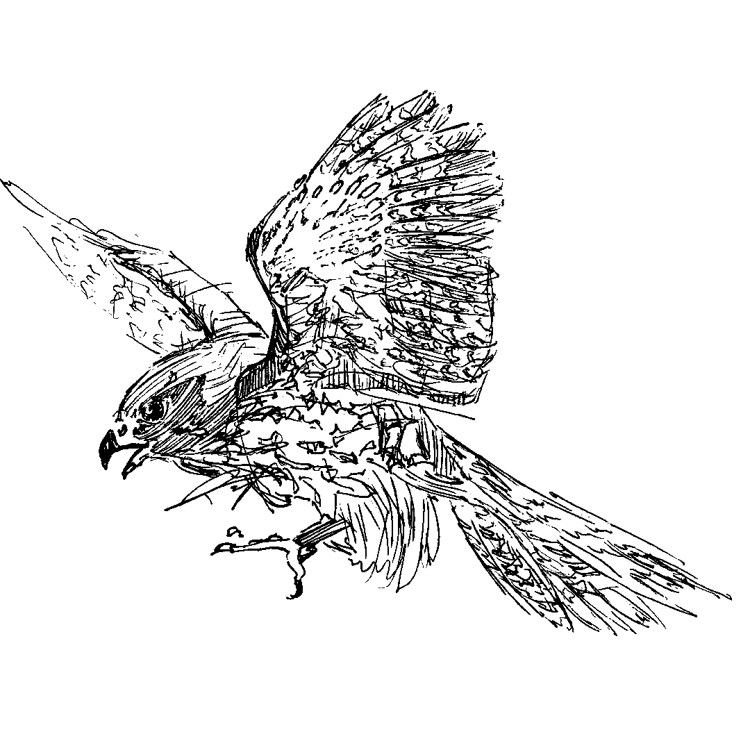 Screenshot 6 for spirit feathers | huruhuru wairua