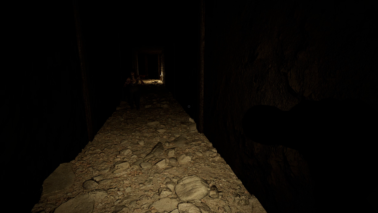 Screenshot 6 for What The Walls Withheld