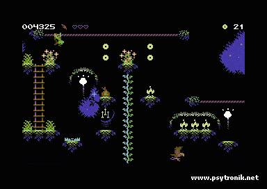 Sherwood (C64) screenshot 3