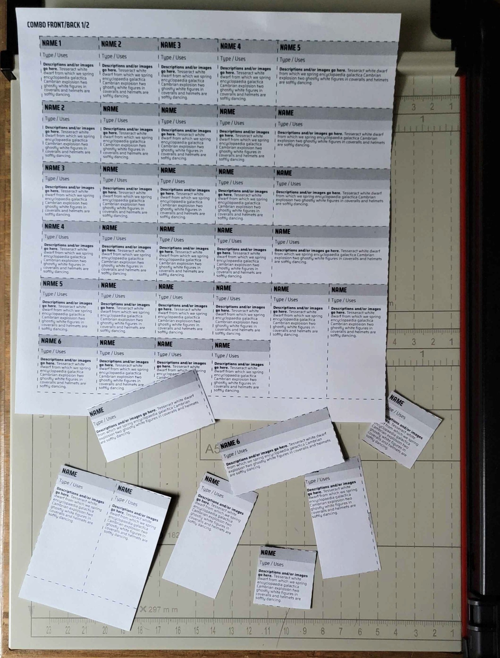Screenshot 2 for Item Cards Template | Publisher 2 Print-At-Home