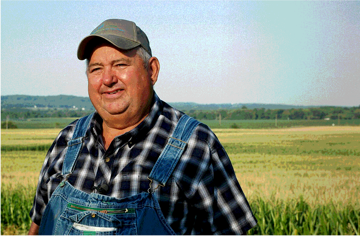 Screenshot 4 for Corn Company