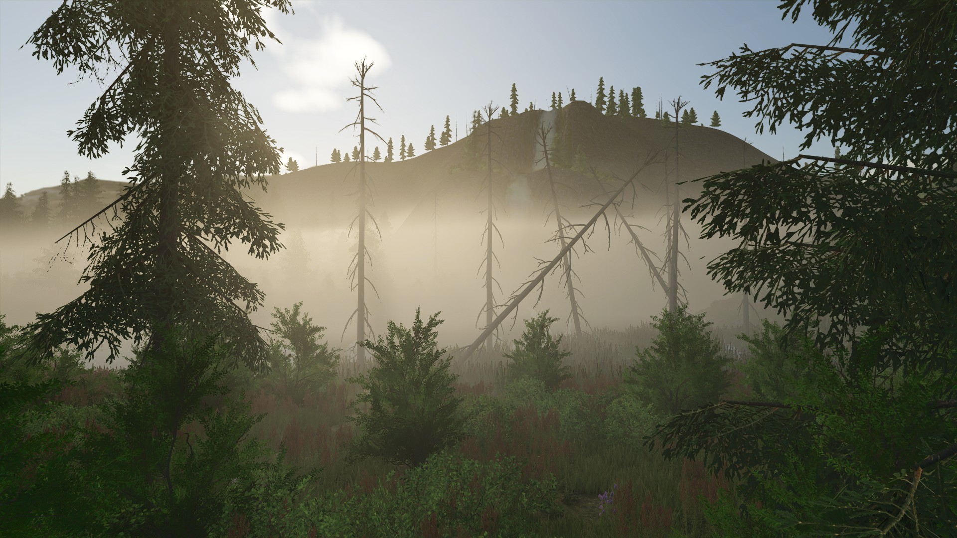 Screenshot 5 for Back Country