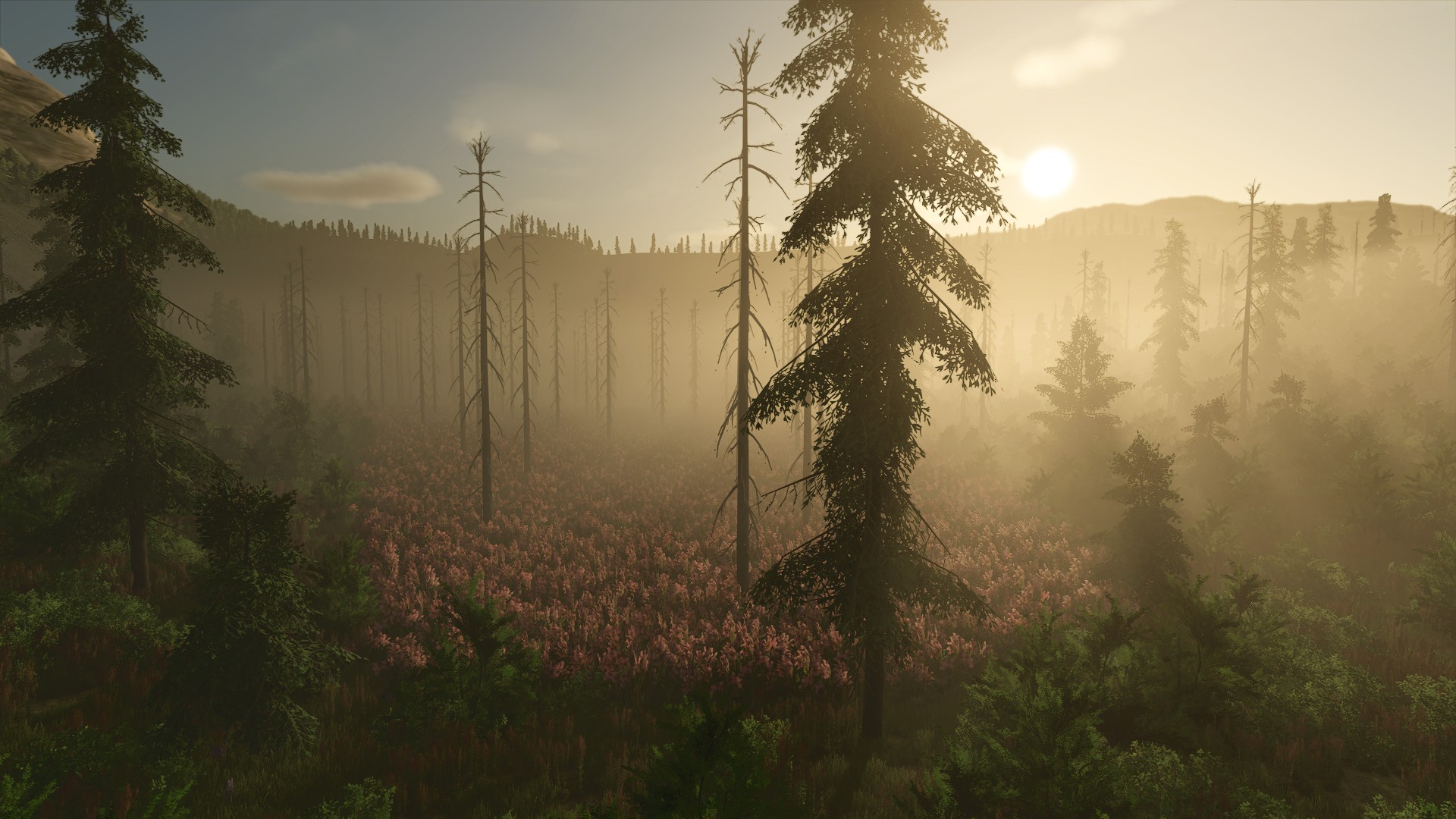 Screenshot 6 for Back Country