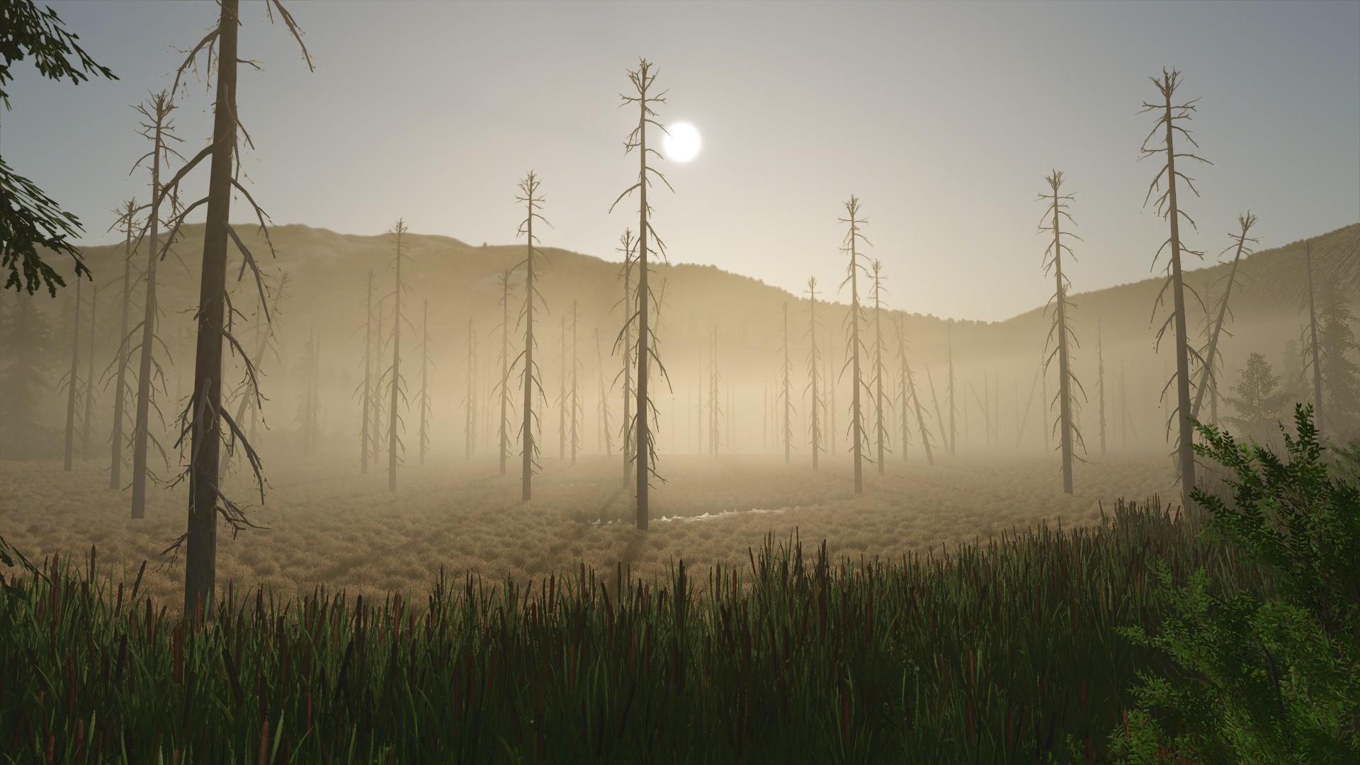 Screenshot 3 for Back Country
