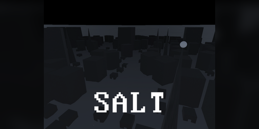Cover image for SALT