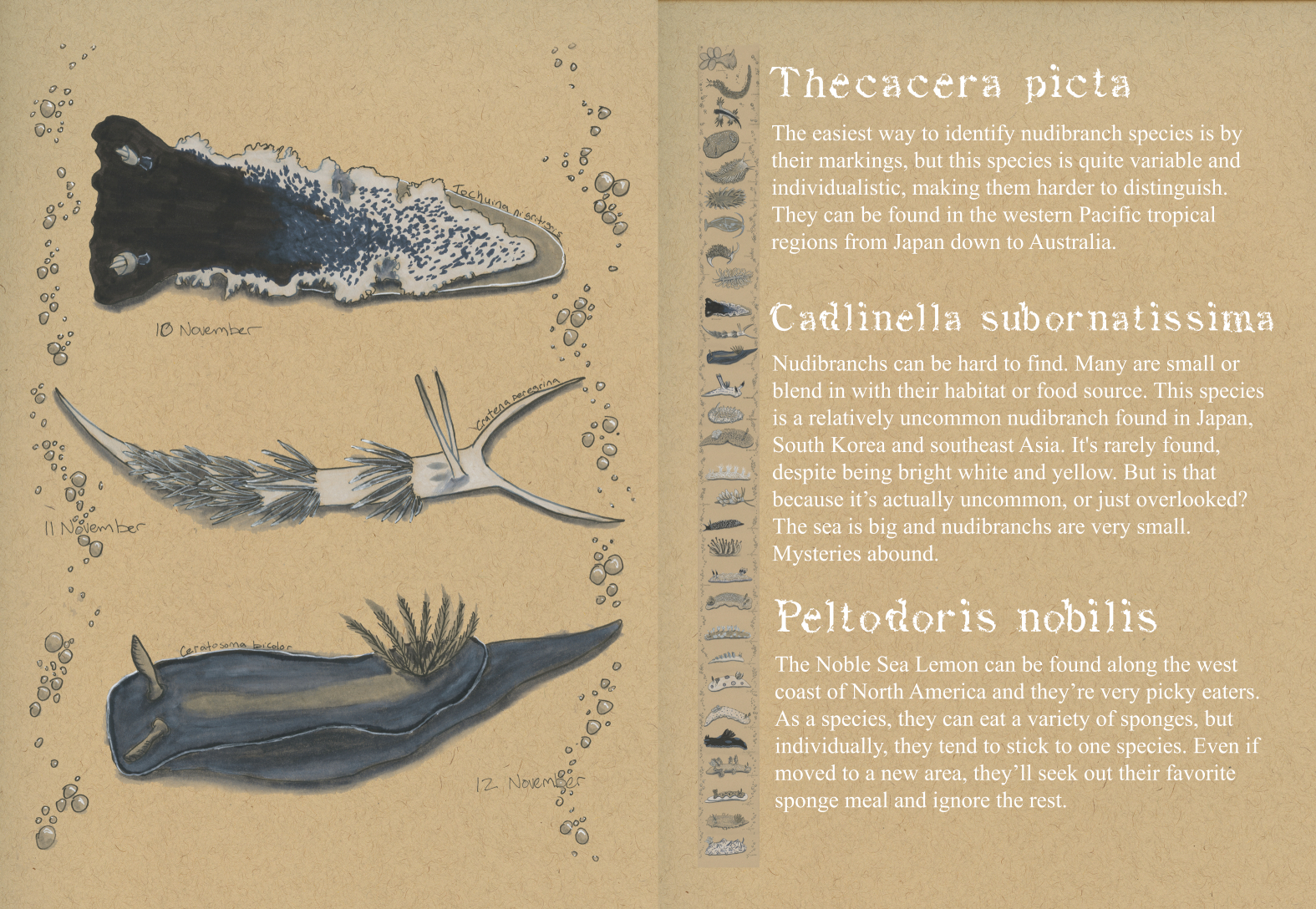 Screenshot 3 for Zine: Nudivember 2024