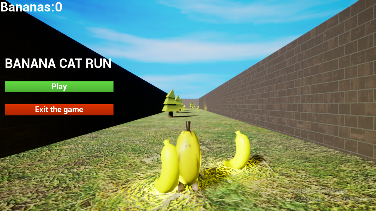 Banana cat run by DalvHadOneJob