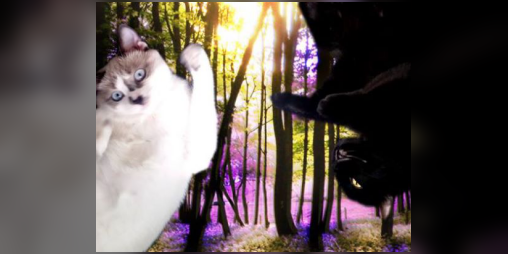 Cover image for Gay Cats Go to the Weird Weird Woods