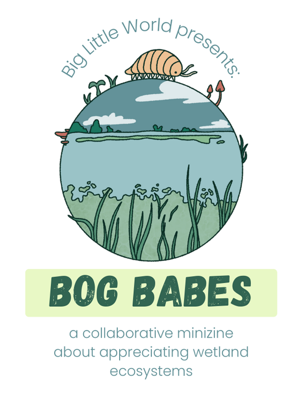 Screenshot 2 for Big Little World: Bog Babes