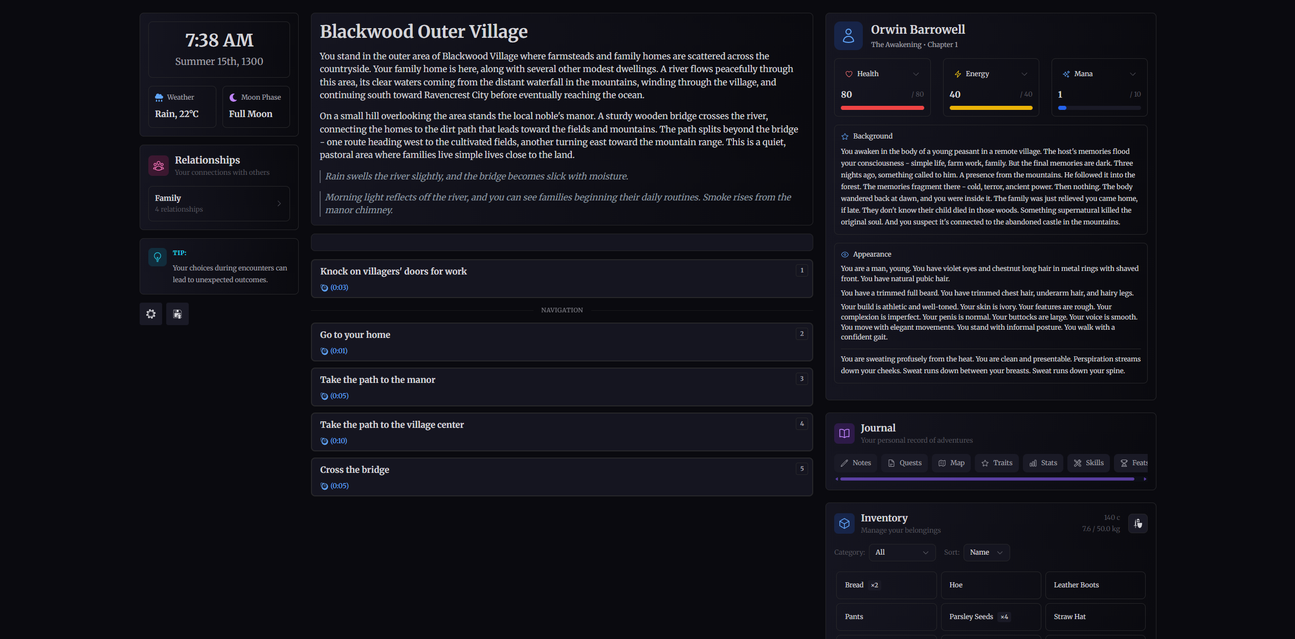 Screenshot 2 for Borrowed Lives