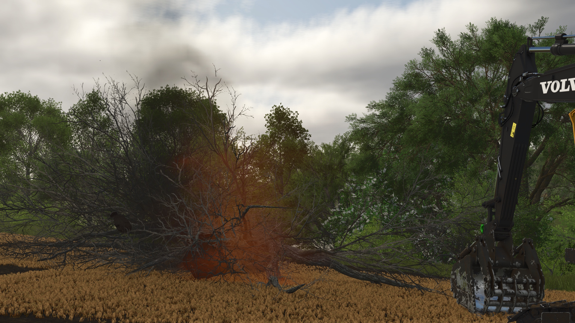 Screenshot 4 for FS25 Land Clearing