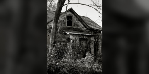 Cover image for Invasion
