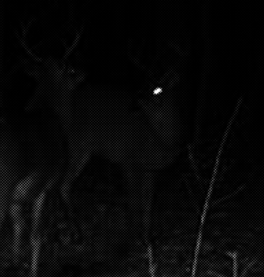 Screenshot 4 for SNOWBLIND