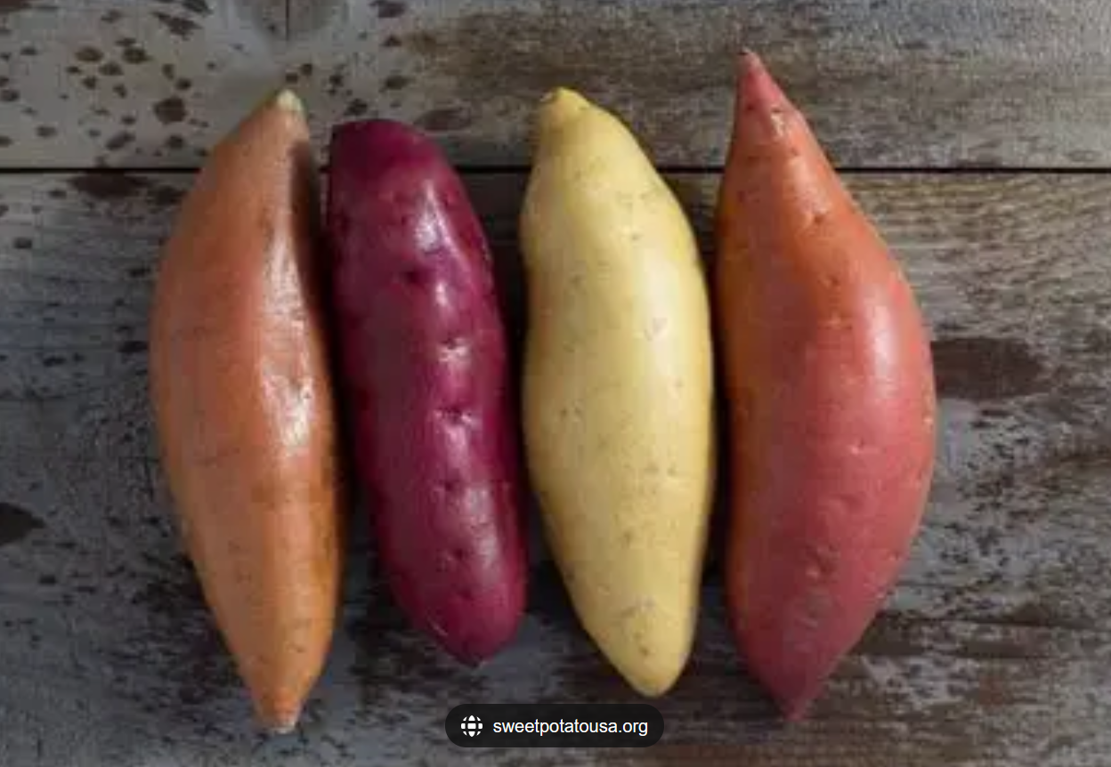 Screenshot 4 for Museum of Sweet Potatoes