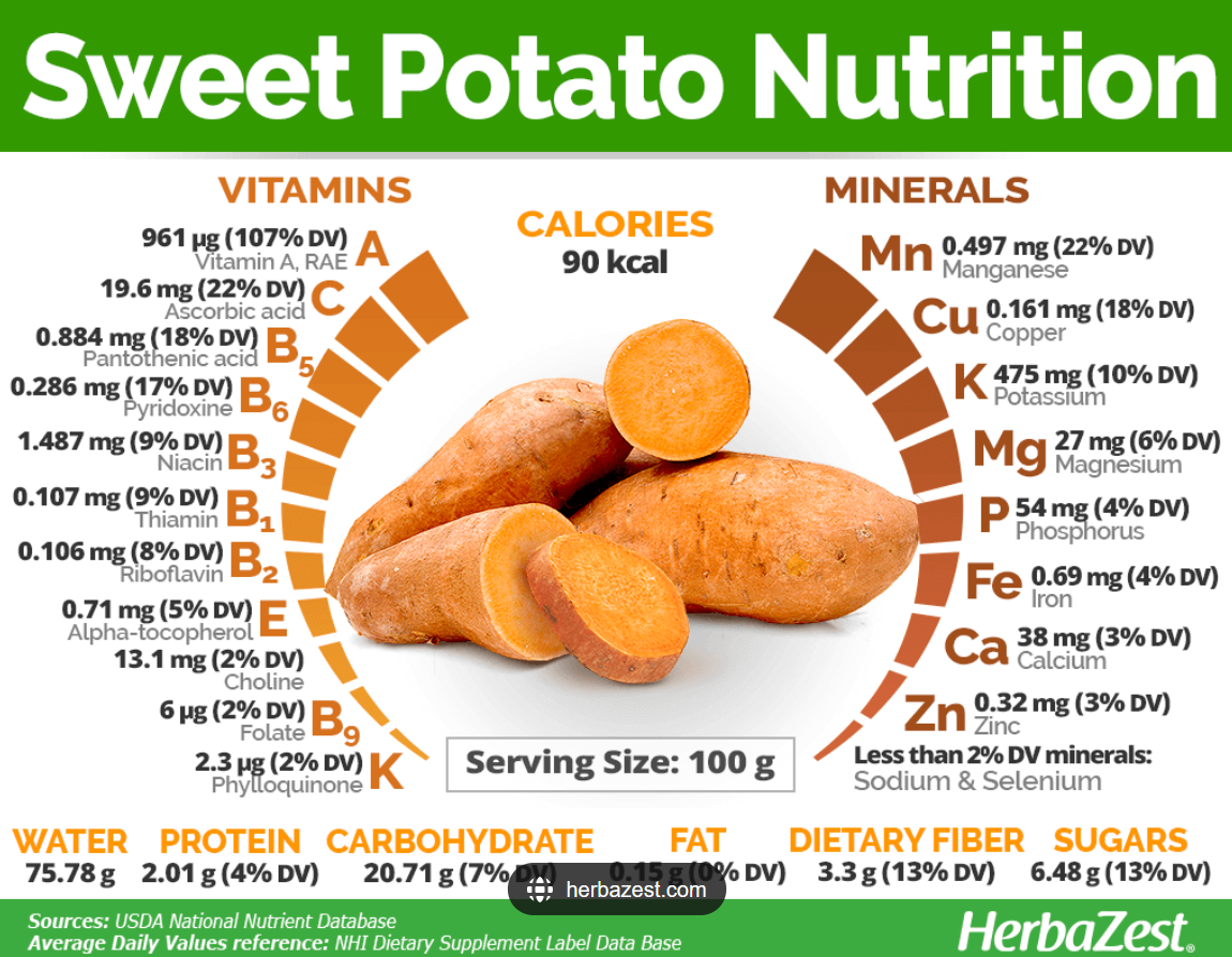 Screenshot 2 for Museum of Sweet Potatoes