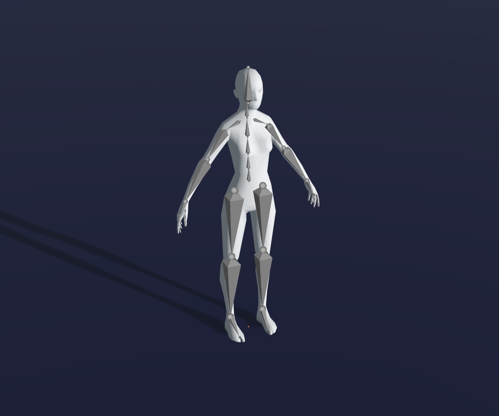 Male and Female Body Base Mesh – 28 Animations 3D Model (1K Polygons ...