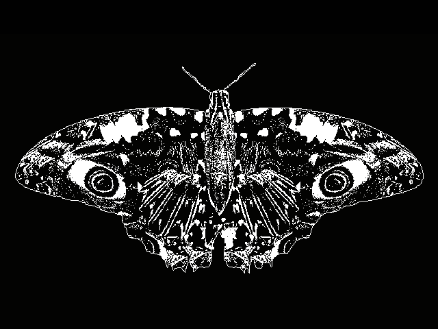 蝶を想え、とそれはささやく by Aug