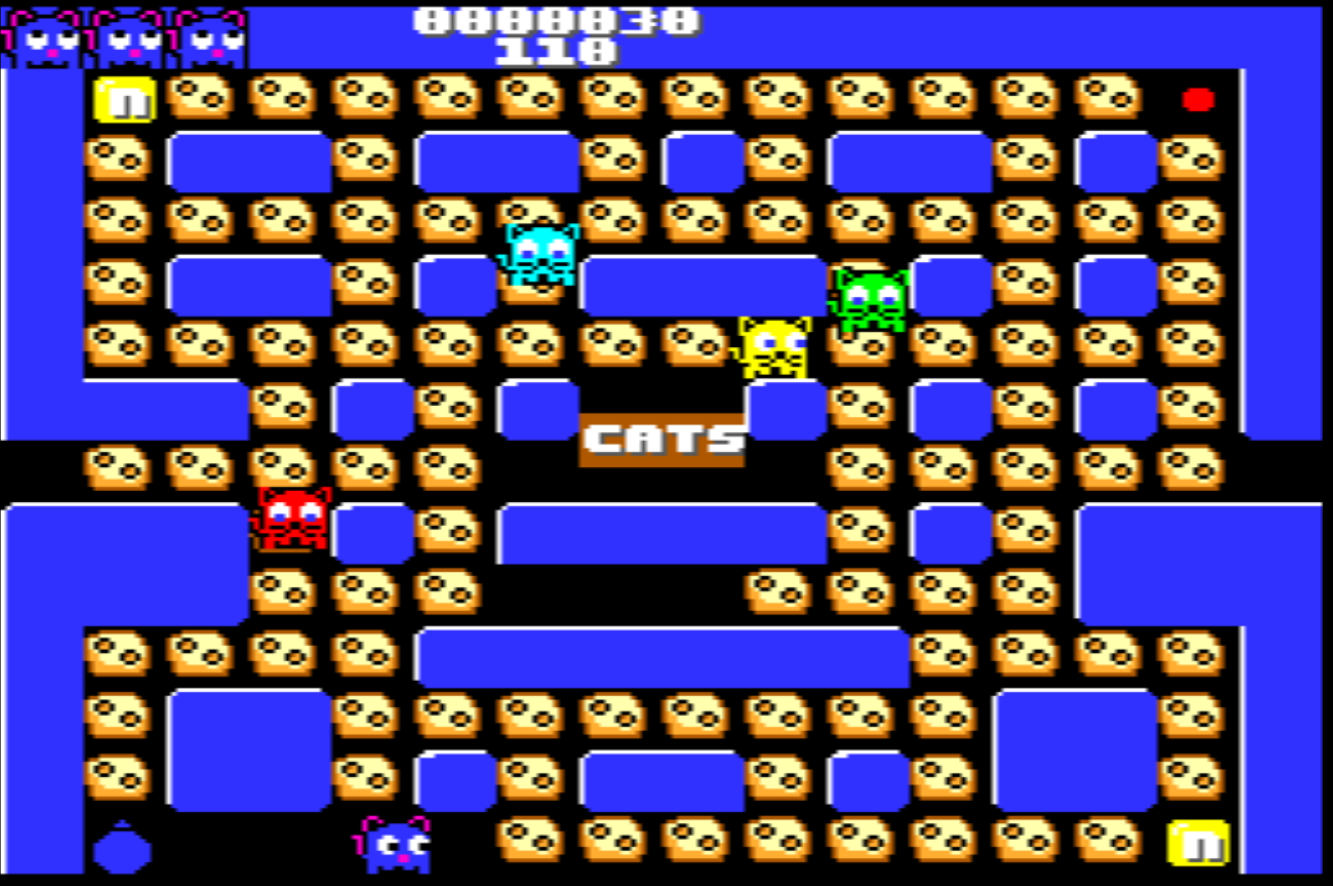 Cat and Mouse by Camden Town Games