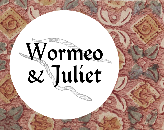 Screenshot 2 for Wormeo & Juliet (Jam Version)
