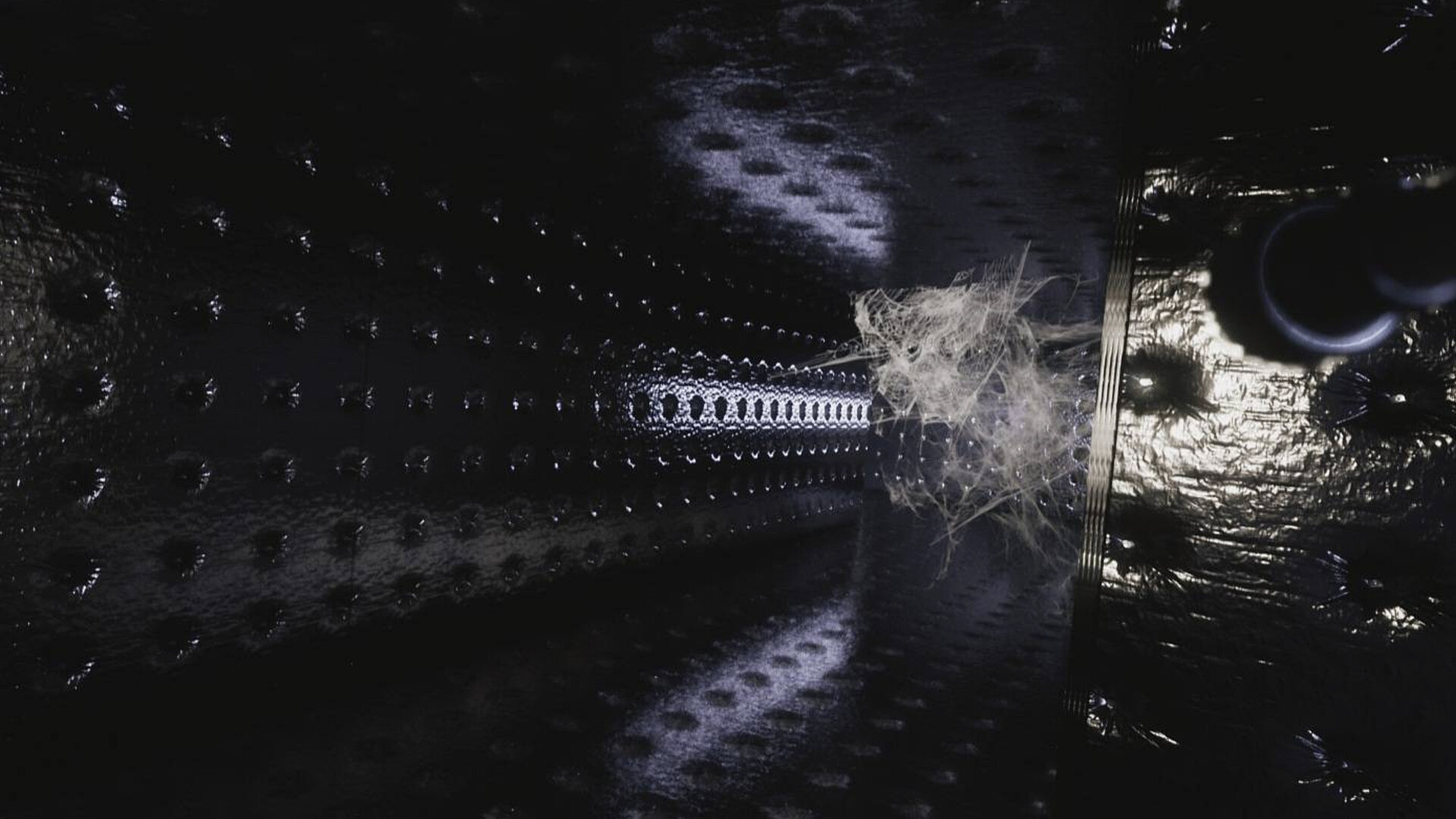 Screenshot 5 for Veylora