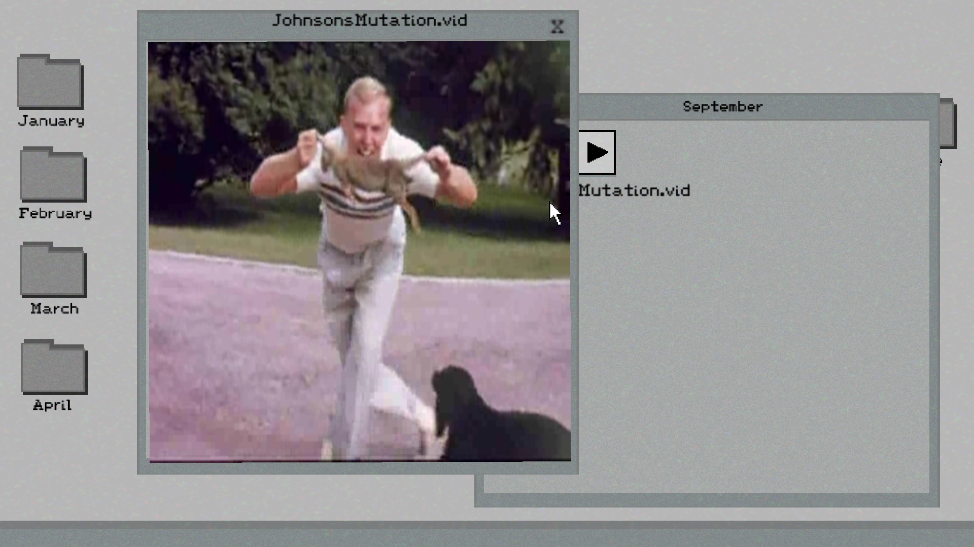 Cover image for Pictures of a reasonably documented year