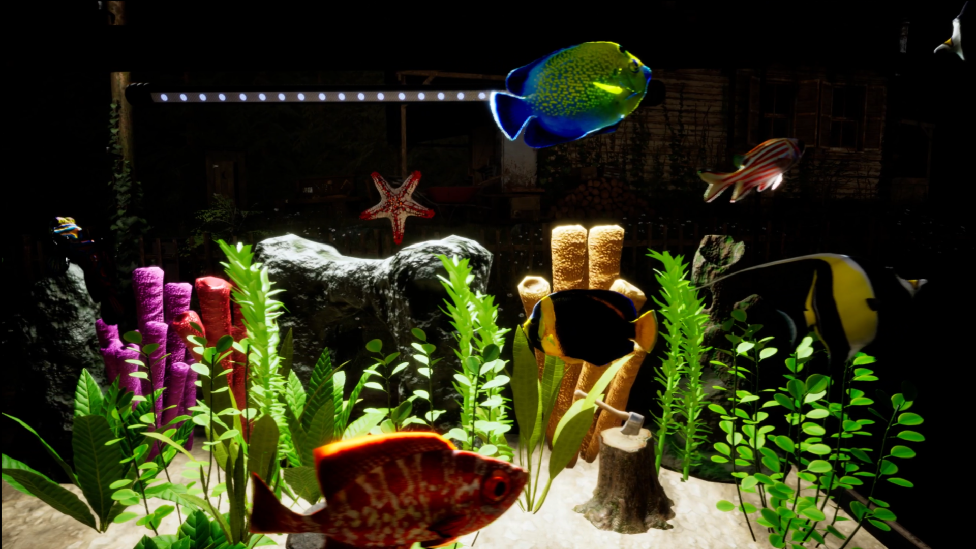 Fish Tank Simulator by KibaFrost