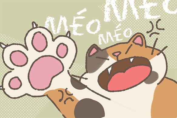 Screenshot 6 for Purrfect Fit