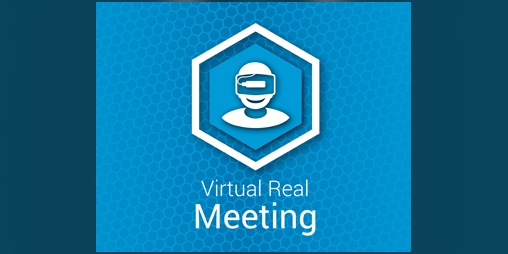 Cover image for Virtual Real Meeting