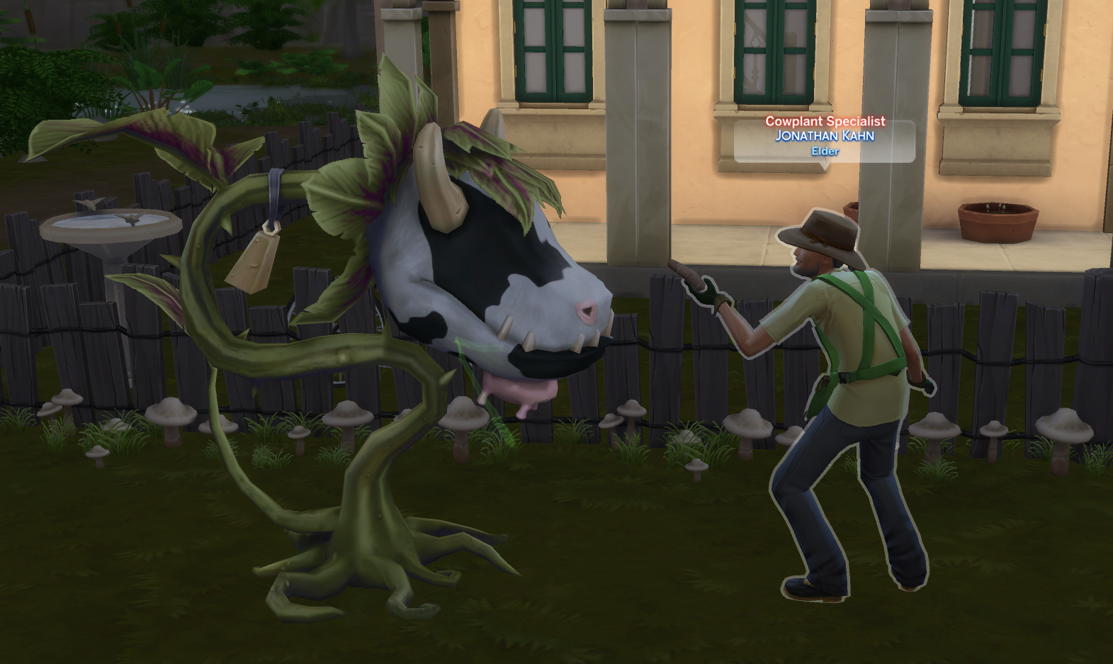 Let Them Eat Cake (Fun with Cowplants) by OneMoreKayaker