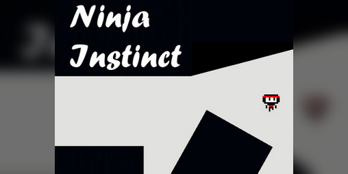 Cover image for Ninja Instinct