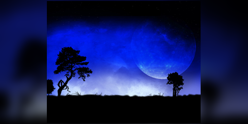 Cover image for Star Sky