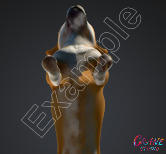 Real Dog Models Realistic Dog Model – Optimized Mesh by cranestudio