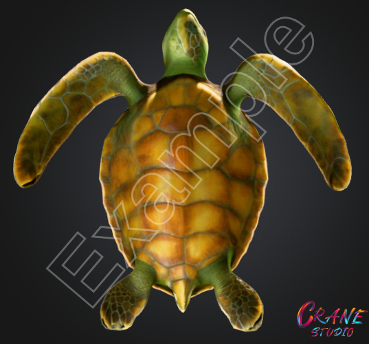 Poly Turtle Low-Poly Marine Animal Sea Turtle – Optimized, Game Ready by cranestudio