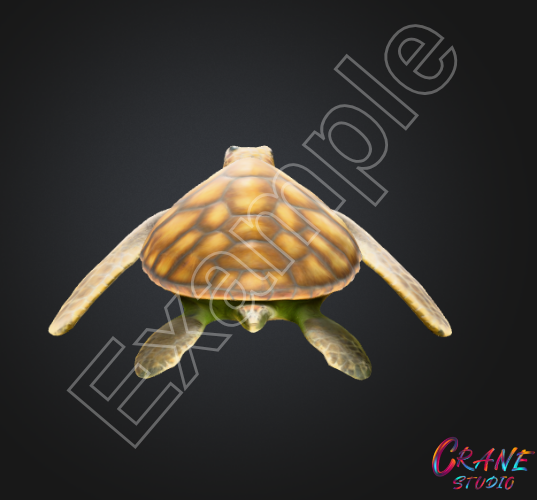 Poly Turtle Low-Poly Marine Animal Sea Turtle – Optimized, Game Ready by cranestudio