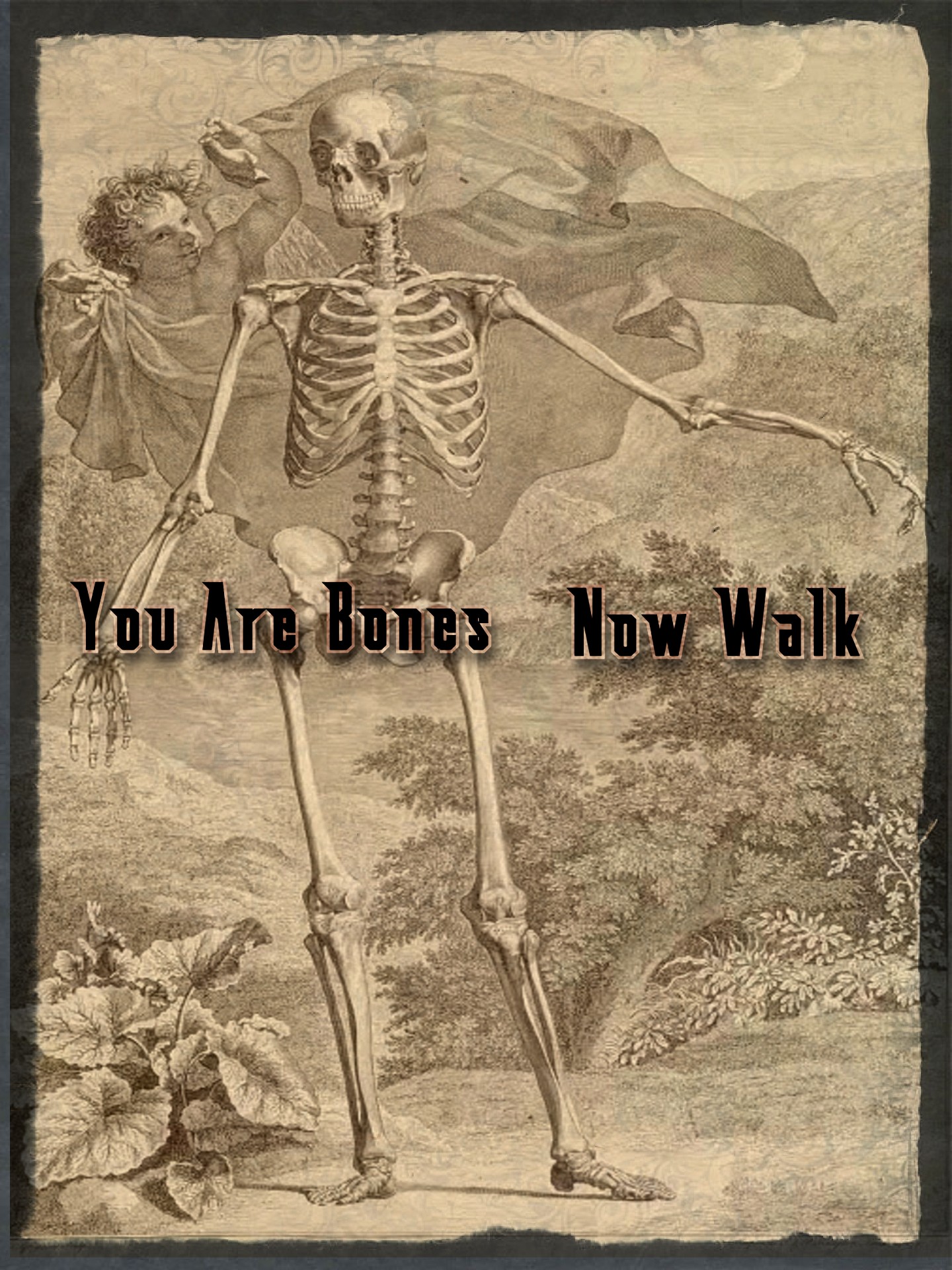 Screenshot 2 for You Are Bones, Now Walk