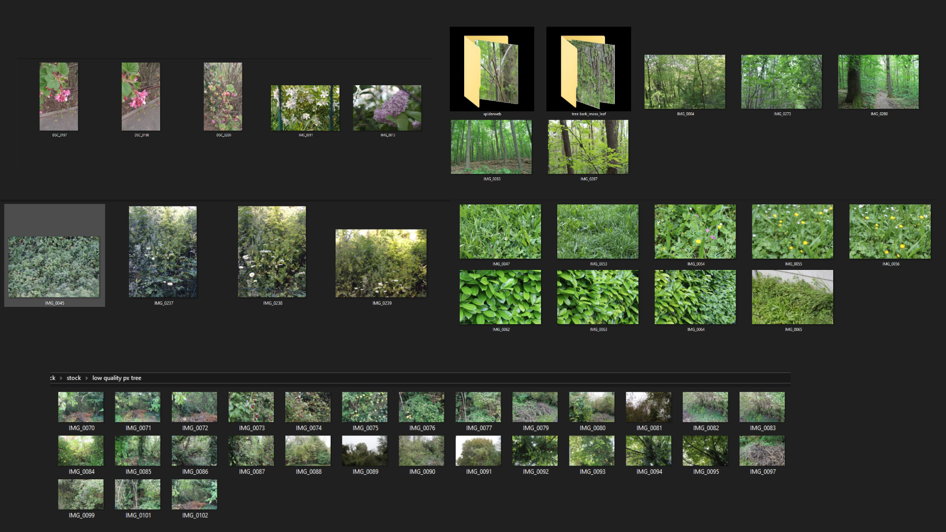 20-ish picture of plants by alexuisss