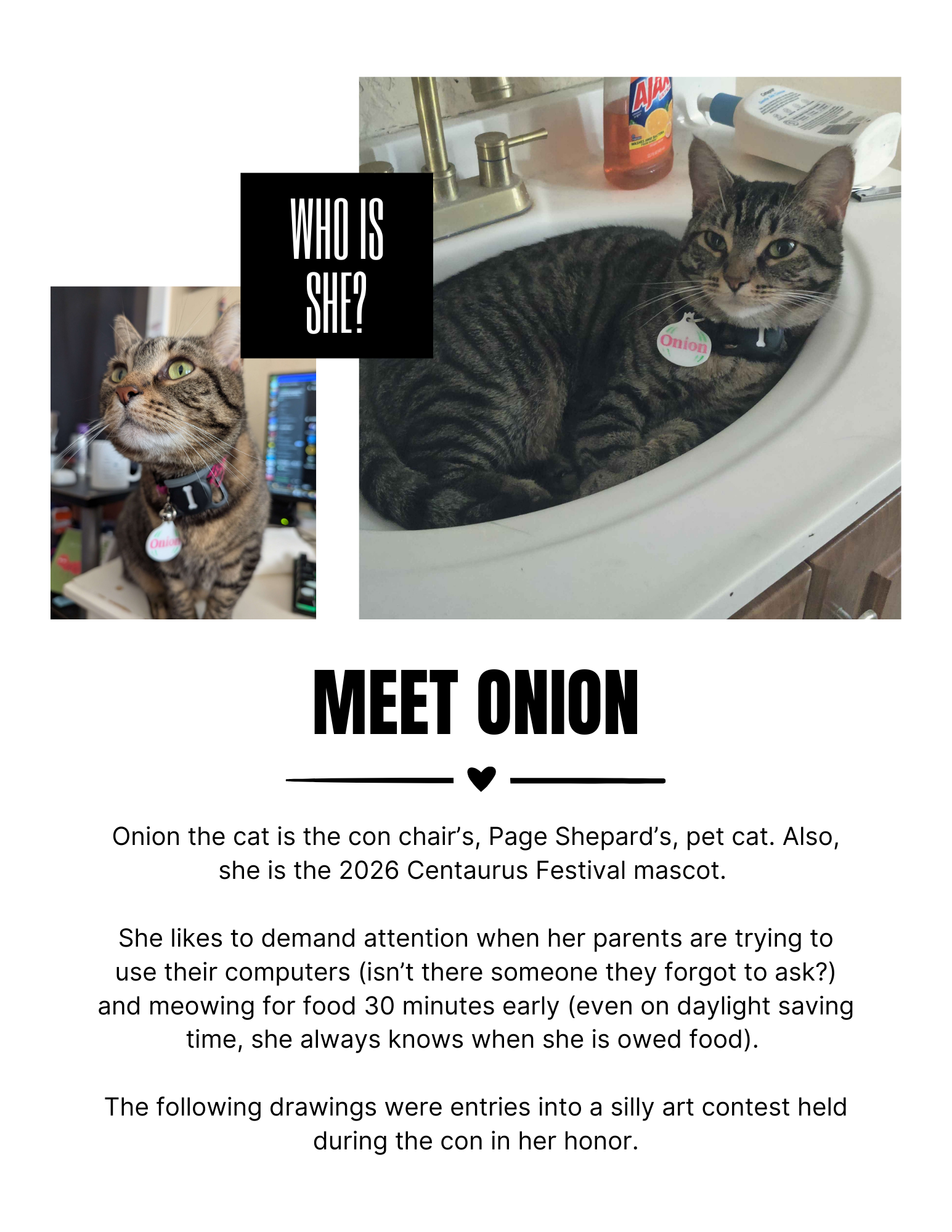 Screenshot 3 for Onion Art Contest Zine