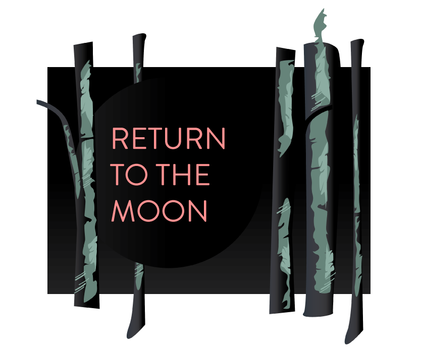return to the moon