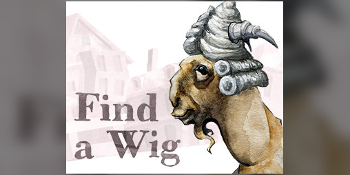 Cover image for Find a Wig