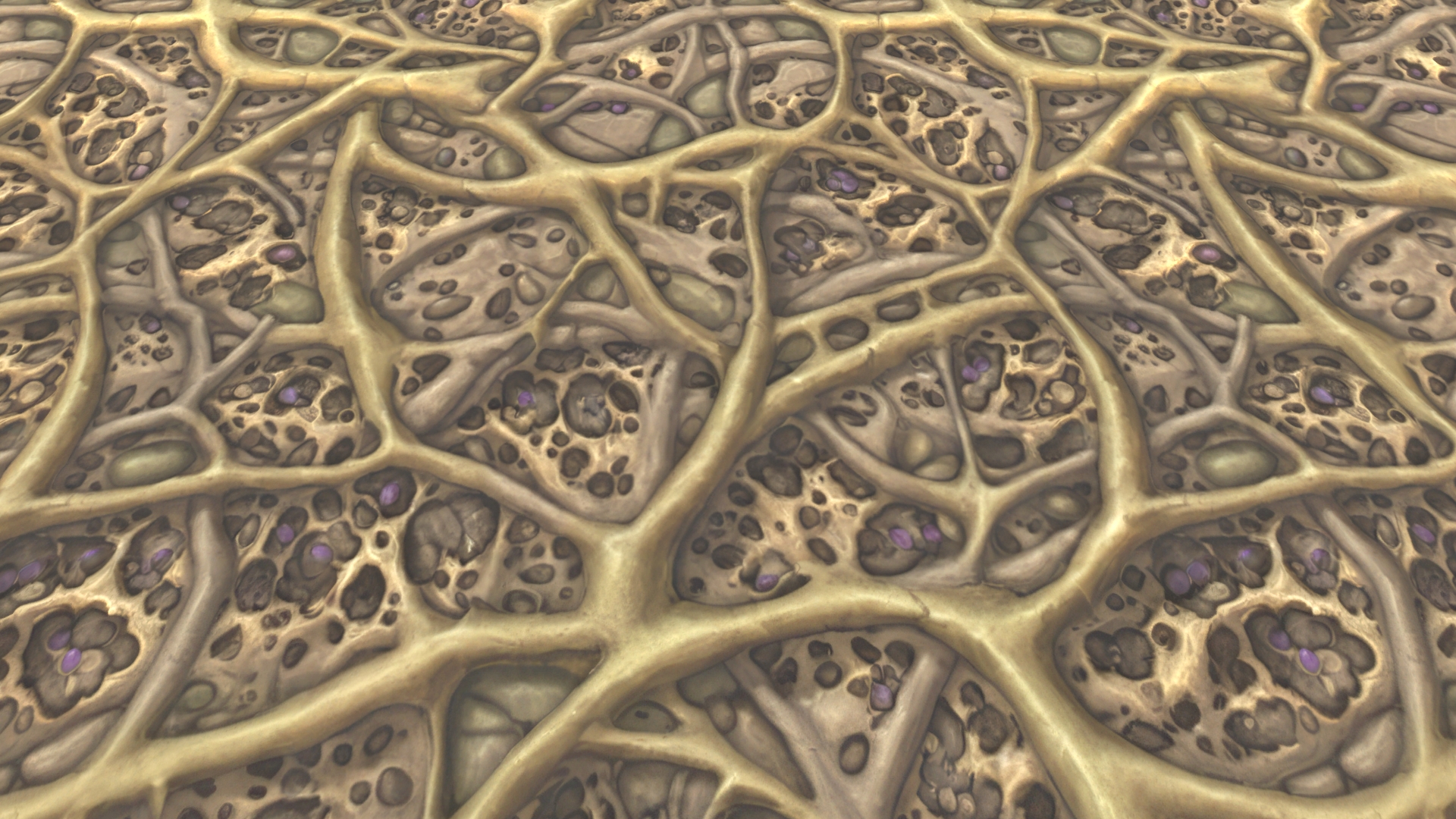Stylized Textures – Vol 255 – Roots by oleekconder