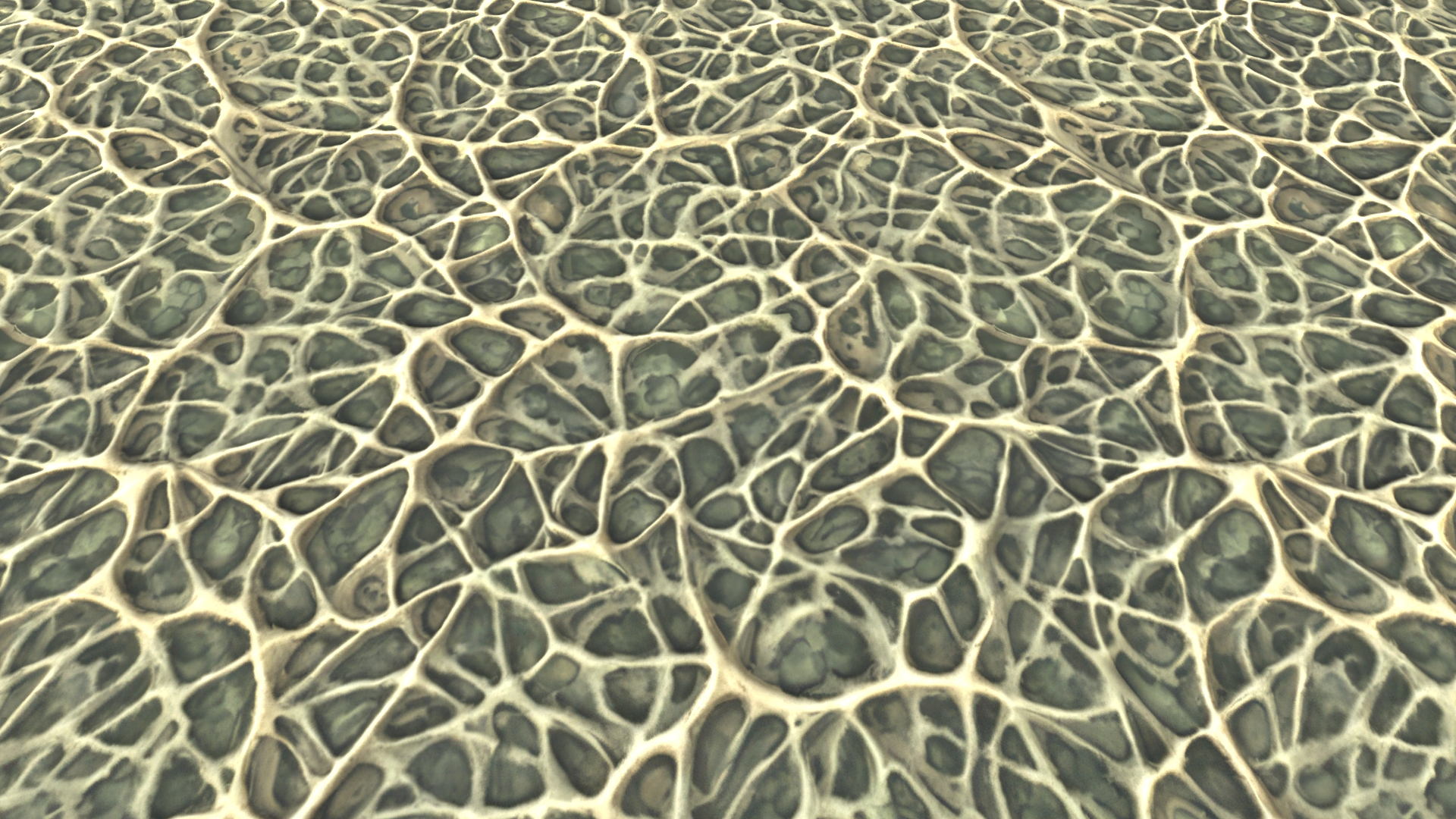 Stylized Textures – Vol 256 – Roots by oleekconder