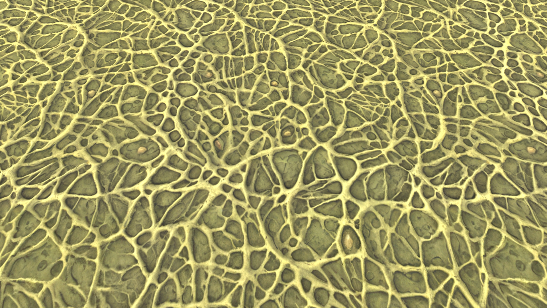Stylized Textures – Vol 256 – Roots by oleekconder
