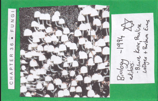 Screenshot 2 for textbook fungi zine