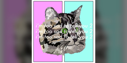 Cover image for i'm too sad to tell you 2
