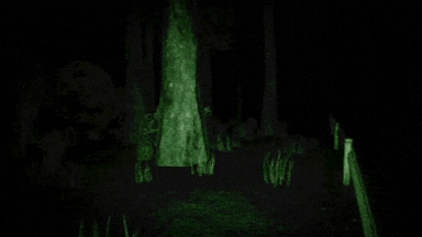 Screenshot 6 for NO WAY HOME - Something walks with you