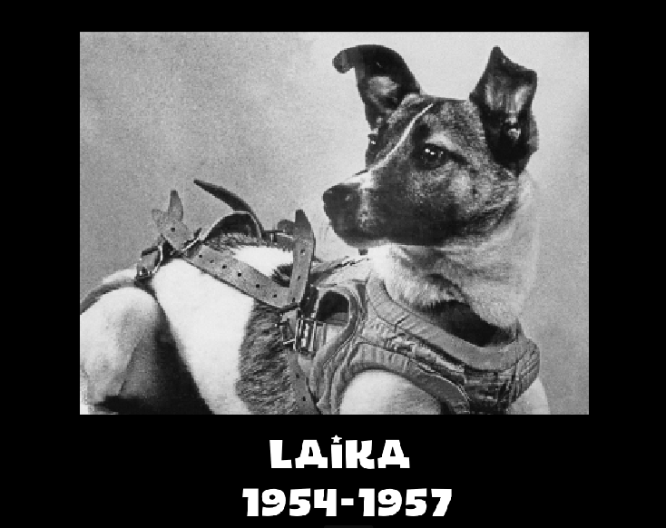 Screenshot 4 for Laika VI